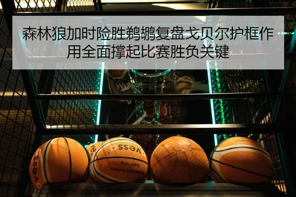 森林狼加时险胜鹈鹕复盘戈贝尔护框作用全面撑起比赛胜负关键 | kaiyun